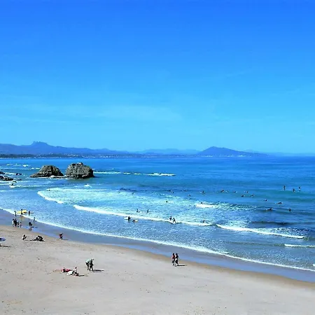 Appartement Biarritz, 1 Piece, 2 Personnes - Fr-1-3-532 Apartman *